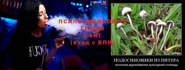 стаф Арсеньев