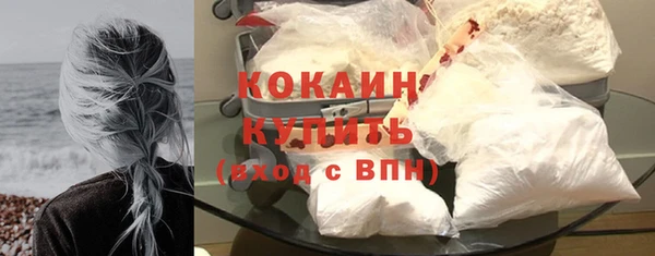 прущие грибы Белоозёрский
