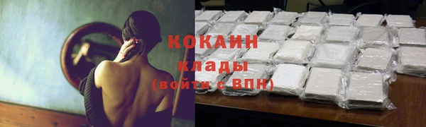 прущие грибы Белоозёрский