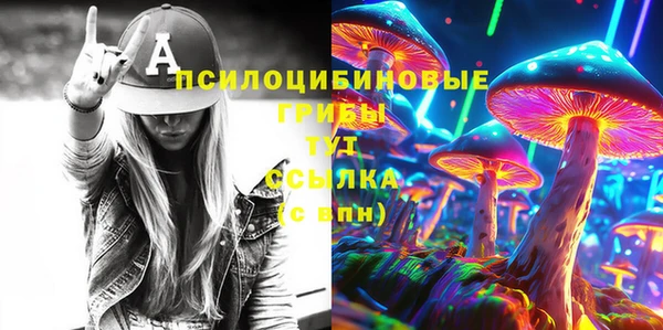 прущие грибы Белоозёрский