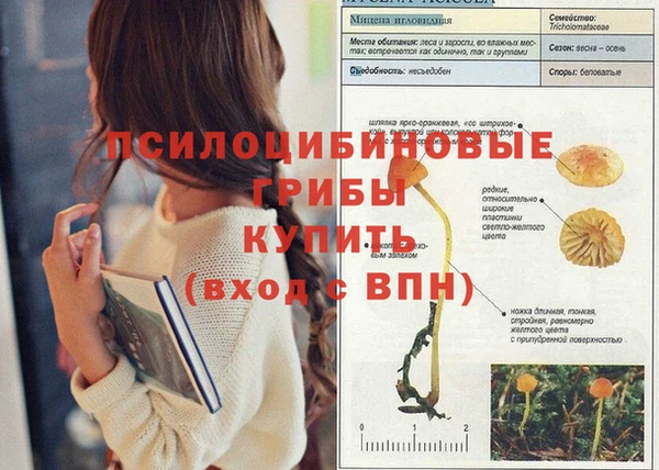 каннабис Беломорск