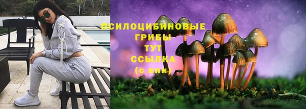марихуана Белокуриха