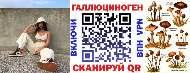 где купить наркоту Новомосковск Галлюциногенные грибы GOLDEN TEACHER