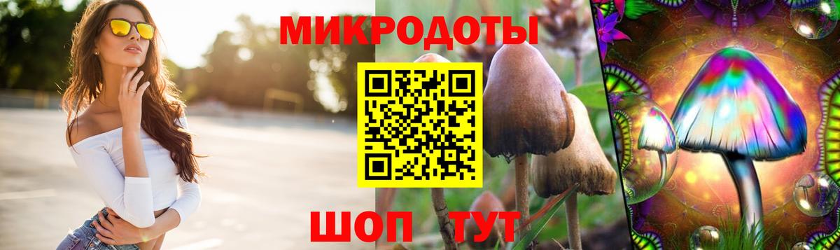 Галлюциногенные грибы GOLDEN TEACHER Новомосковск
