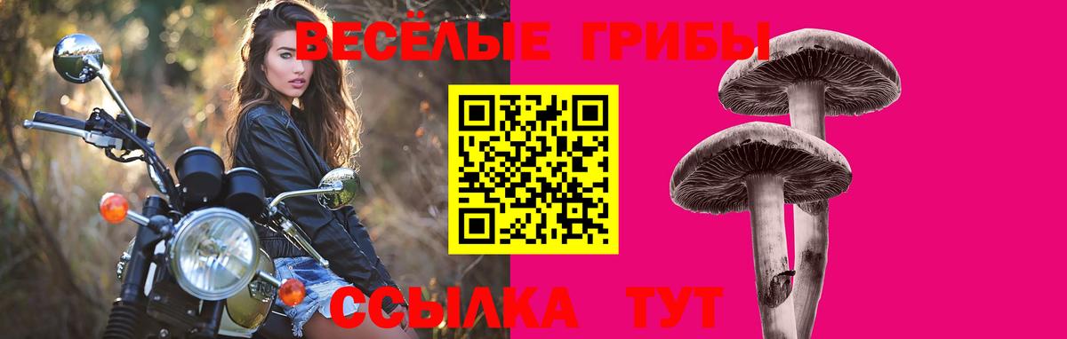 Новомосковск  Псилоцибиновые грибы мухоморы  Вход с VPN 
